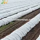 biodegradable non woven fabrics